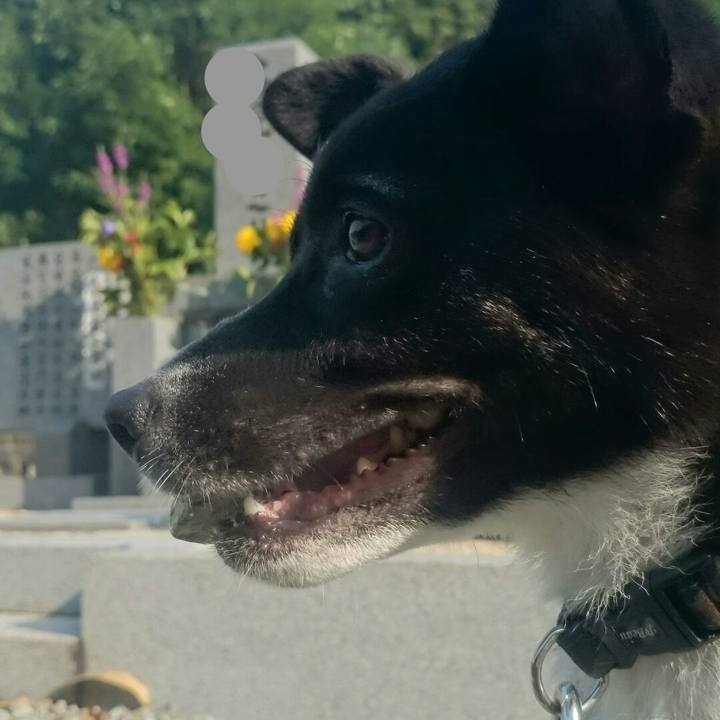 43e17c37 1b12 442b 8973 1643e17f18ea