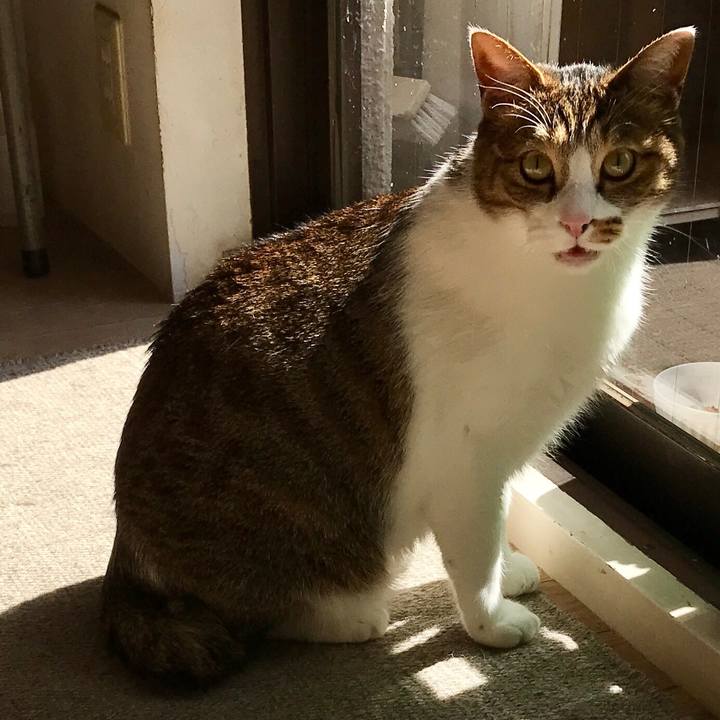 43e26a18 2279 46fd a68a 343c9c472880