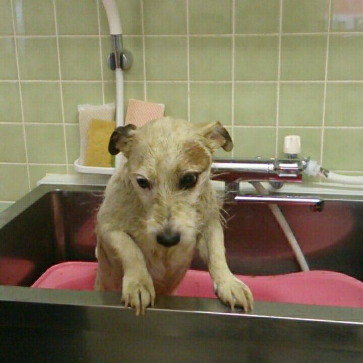 43e27900 848a 4543 91aa 4184d770a474