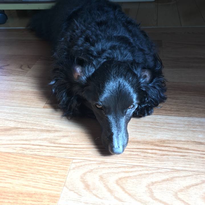 43e28f2c 5b4d 4ffb bdd7 e6b3ac002254