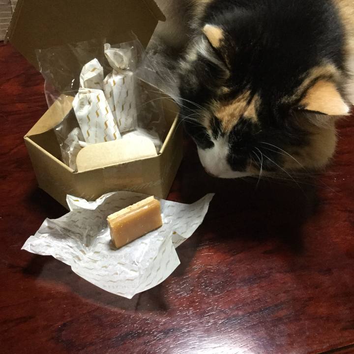 43e38d85 cc14 4608 9a57 66d79cfff15c