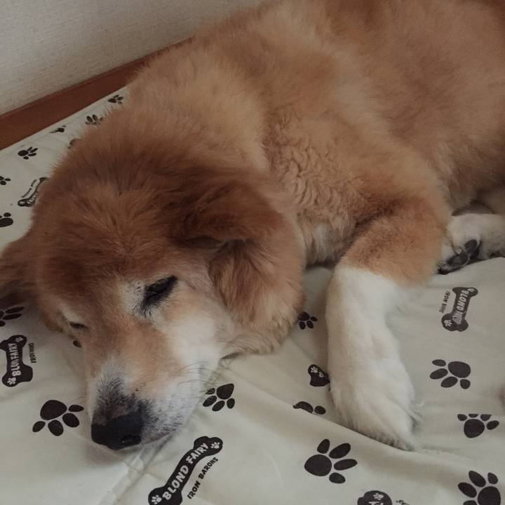 43e3ff46 9727 41c8 a9f8 08a345503676