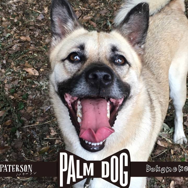 43e43fe0 5bfe 4f1f 954d 439b75946d75