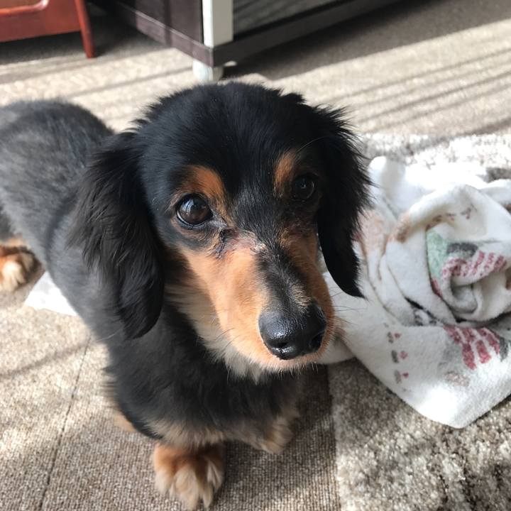 43e4609b 89a1 42d4 939c df06aa71eaaa