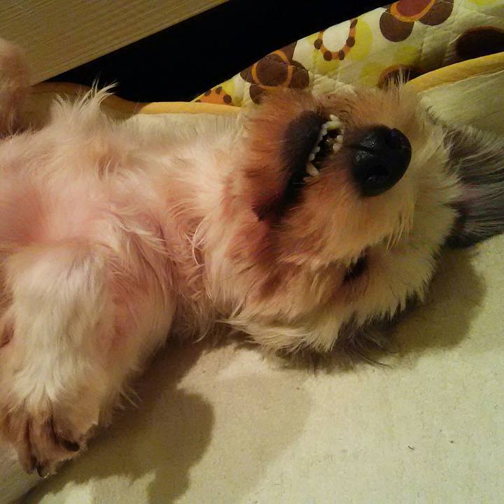 43e4f0bc 74ac 478a b810 e49ae4a262f6