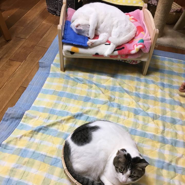 43e4f8bd 07f2 4944 8cdb 8a17ee6cf619