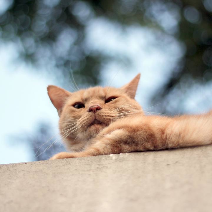 43e57964 f8f2 4f7b aa12 1c983e7c0cc6