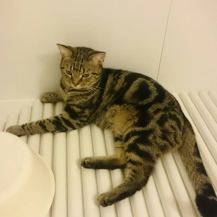 43e682ed fadc 4fc1 92c6 677f188fd37b