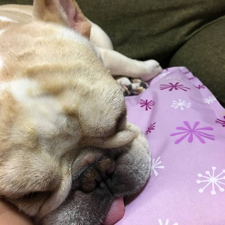 43e6deaa 7f5c 431e 9fdd f225b049e534