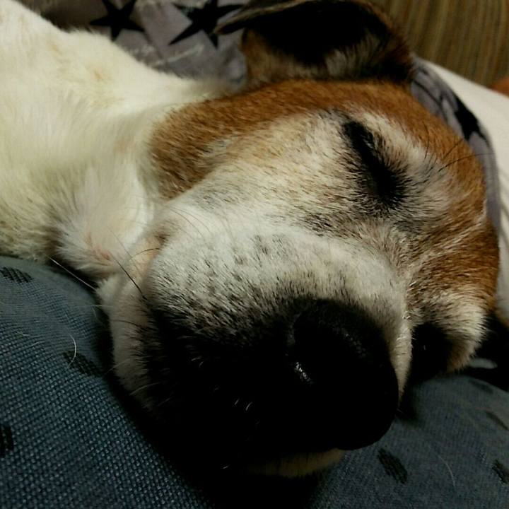 43e79c67 4fcd 408e b349 a1339bc9f981