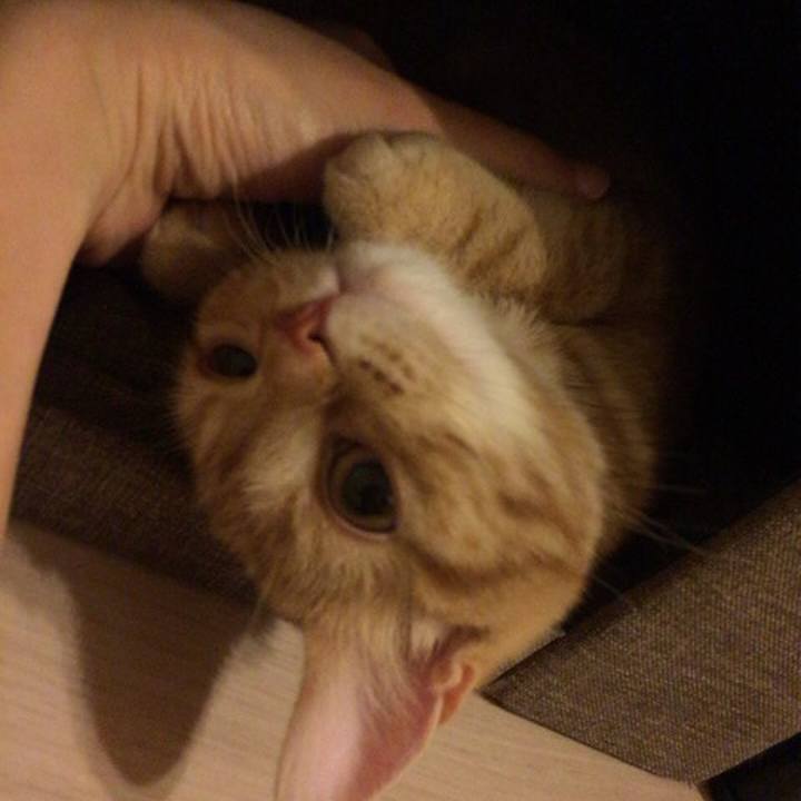 43e7ee15 475f 43b4 a461 59c6df6455b2