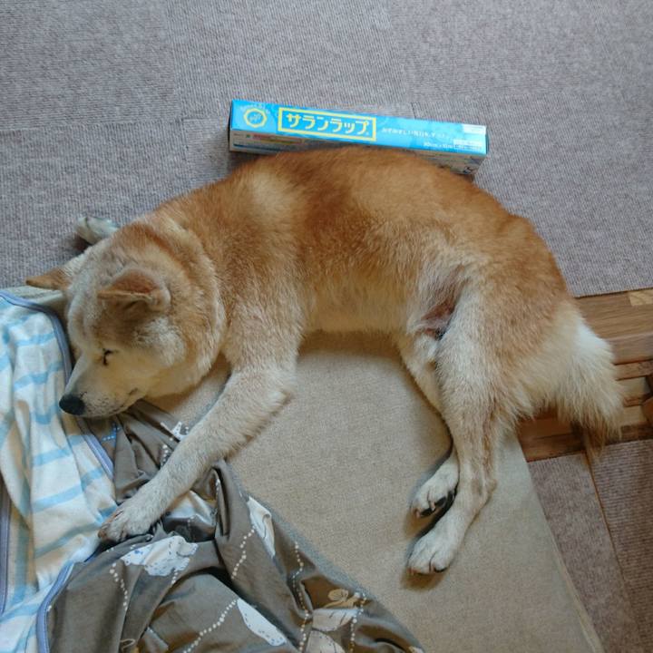 43e87fdb 7abf 4985 b232 578e211f5da0