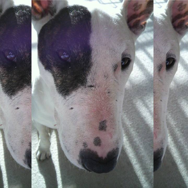 43e8ac93 4981 46c7 8819 8d8766e3c322