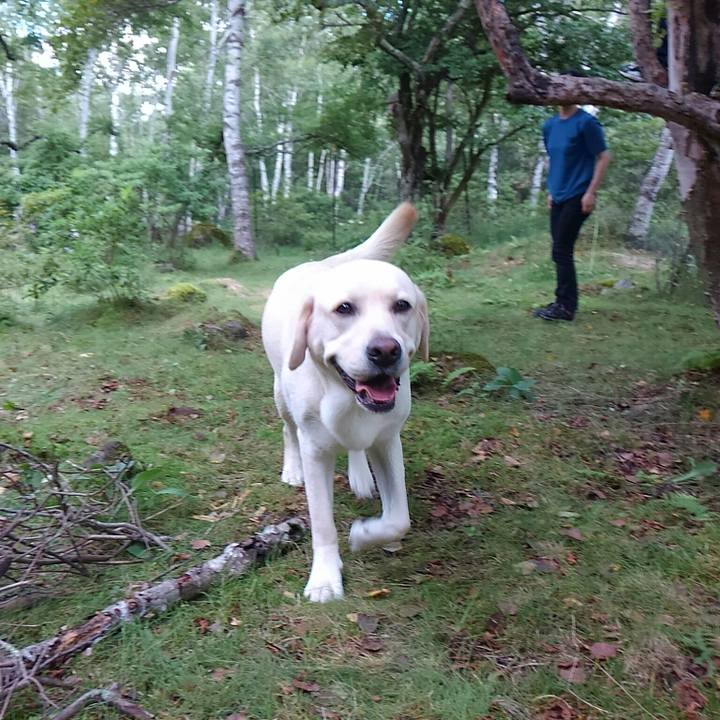 43e8cde7 738f 46a3 9f78 6c52bbf67933