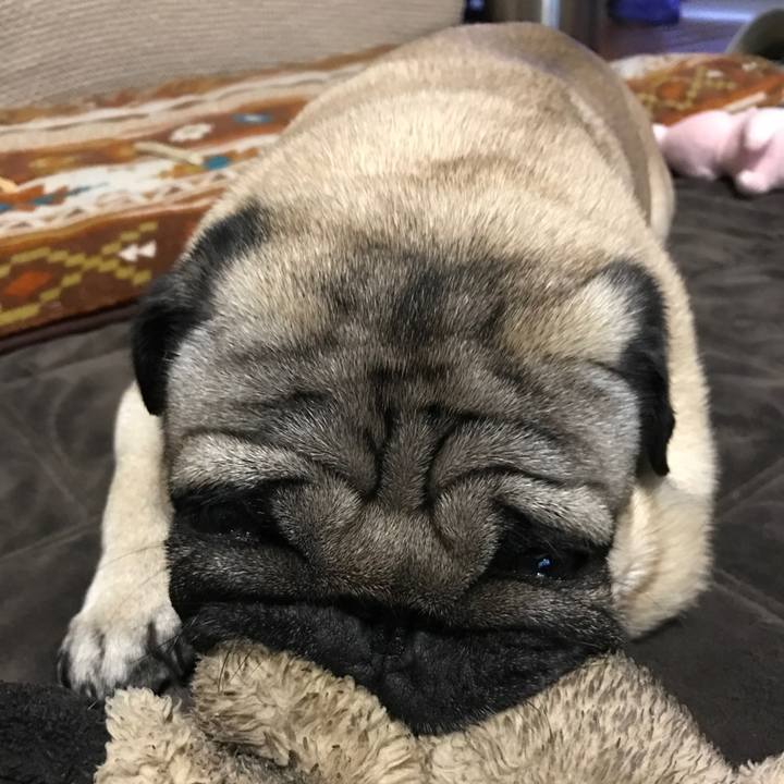 43e957ed 242b 46f6 bbde 97b1abeb8689