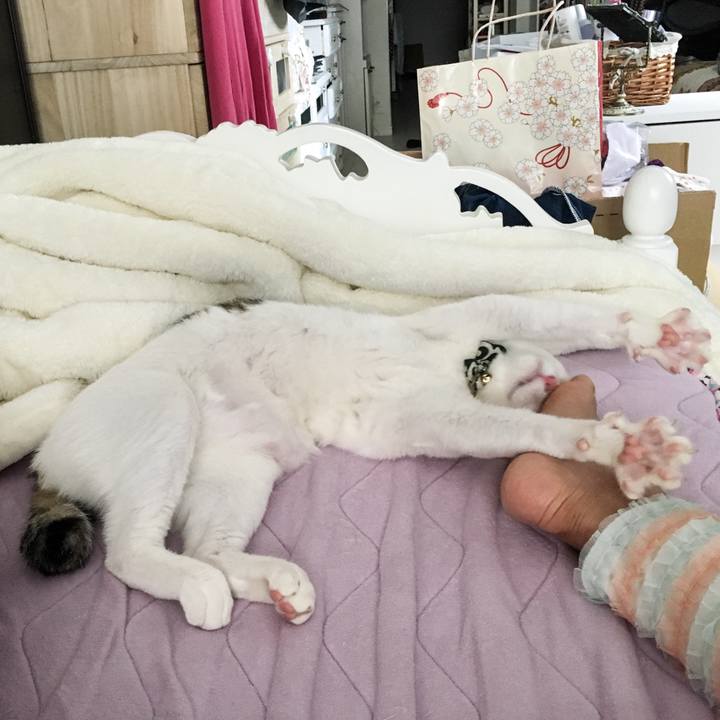 43e96970 8b95 440a a298 10cf49a1e3c4