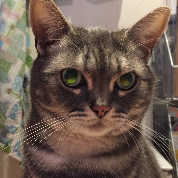 43e9aaf0 2bce 4ecc 918f fe783d656251