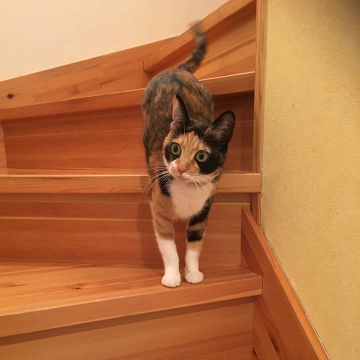 43e9f501 8717 446a 8a57 1a253cab7d6f