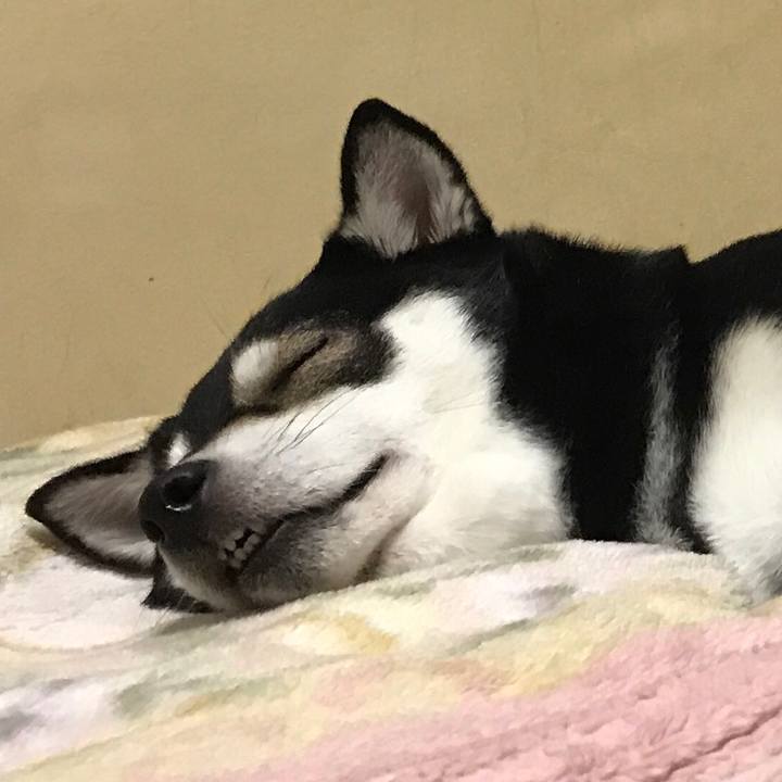 43ea7344 a808 44ec 962d bc998c605fd4