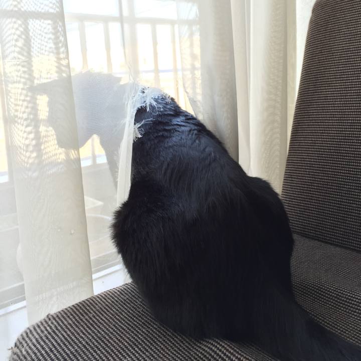 43ea8ec8 48e4 47c8 b418 5a6e2f7394d2