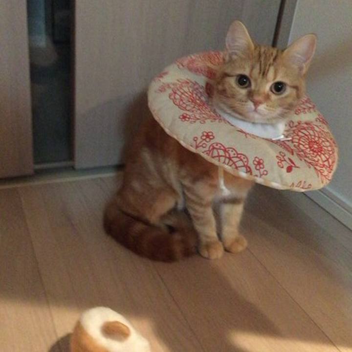 43ec2e3c f9c8 44b1 b675 57f431b8e1d8