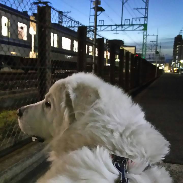 43ec5fb2 1ab7 4953 a4fd cf9828aec5be