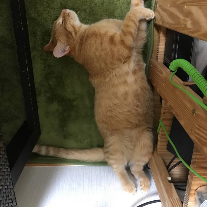 43ec685a 3e6c 49fb b3f8 2e86e96b0c6b