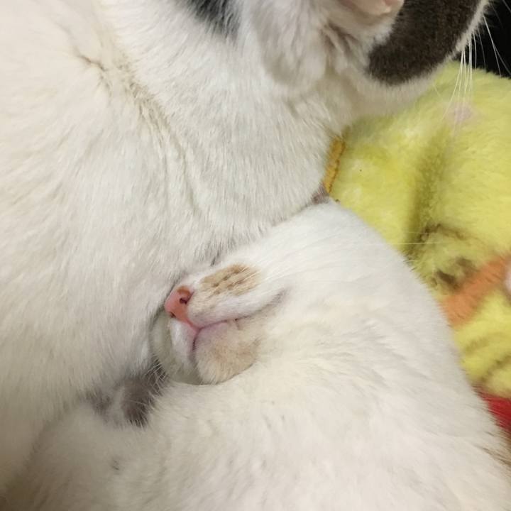 43ec7800 1e8d 4b71 8ec8 c789f107074b