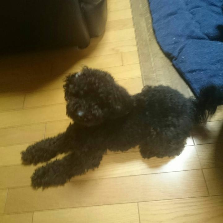 43ece8d7 c160 4c96 b9ce f62019d95588