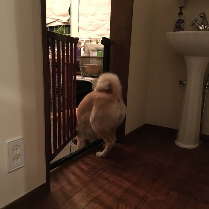 43ed2d5b 59aa 4378 a2a5 cbd75425df80