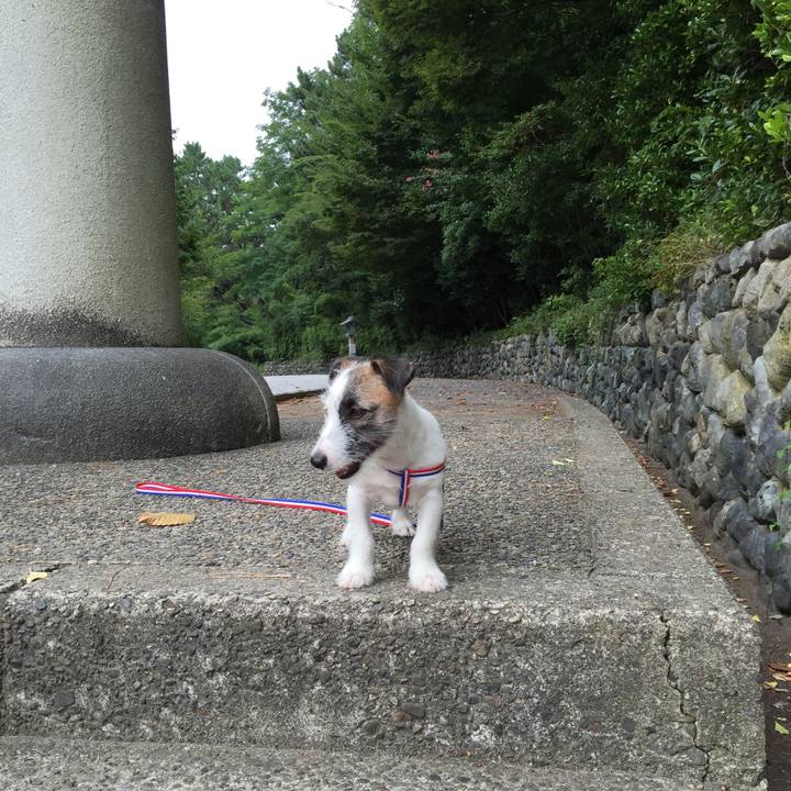 43ed77e3 a455 43e1 b0ab 0fec61abfbc1