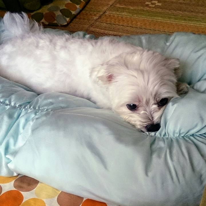 43ee0c5a 958d 424c b98c f784a3e84192