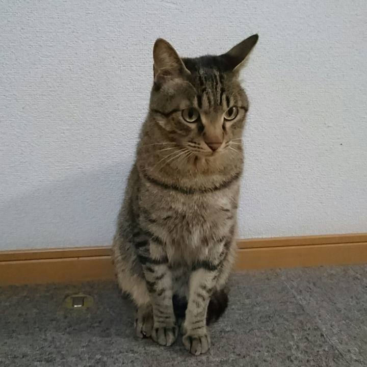 43ee4d9e ec06 4efc 848f f4e108dfa95b