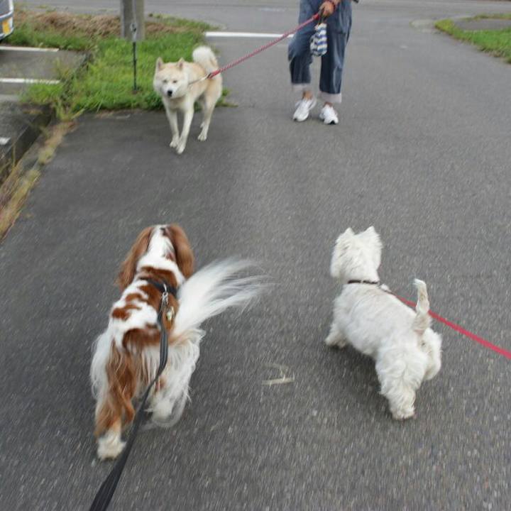 43eec64f e37c 47cb 9730 c076269a6055