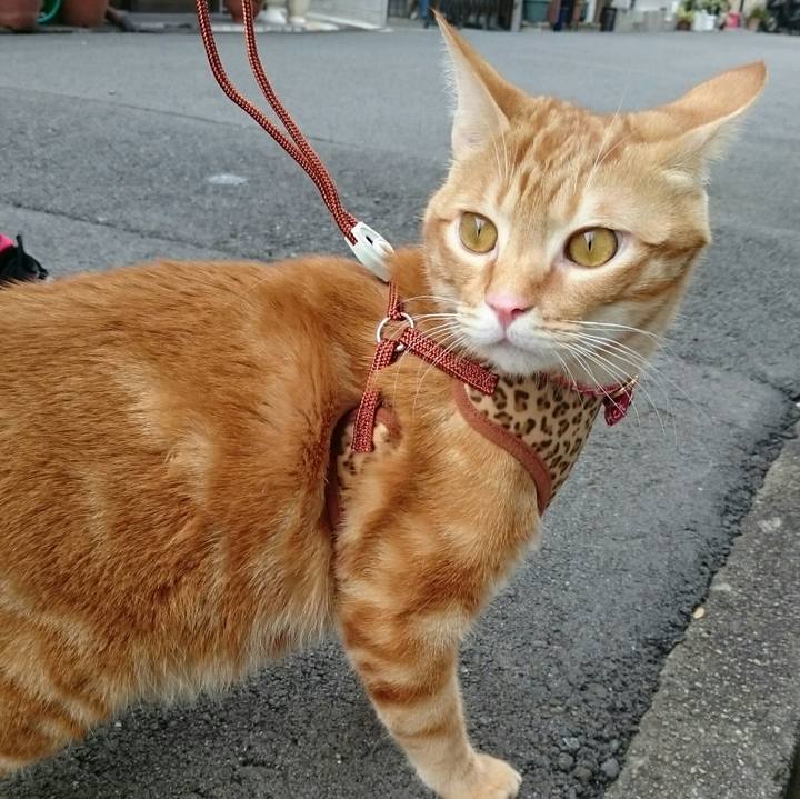 43ef8230 9cbe 4563 b7e0 c9240114e237