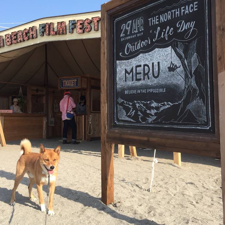 43f02518 f0bb 4fd8 83b7 974b0edbbd0f