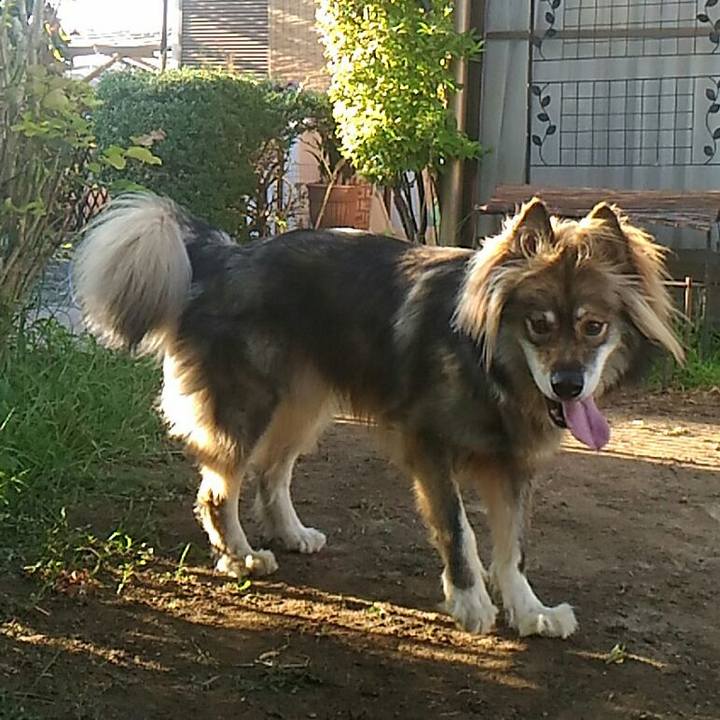 43f18522 e7d2 4210 890f ee8b097d87d3