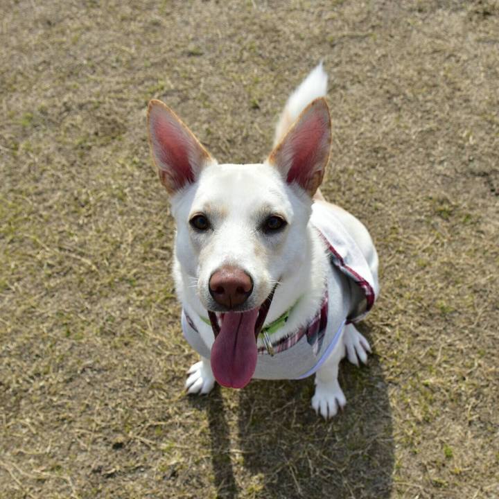 43f1fba3 277f 4291 b07a d01f0946023e