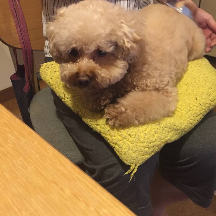 43f3267f 7e73 4831 b394 d7171621604b