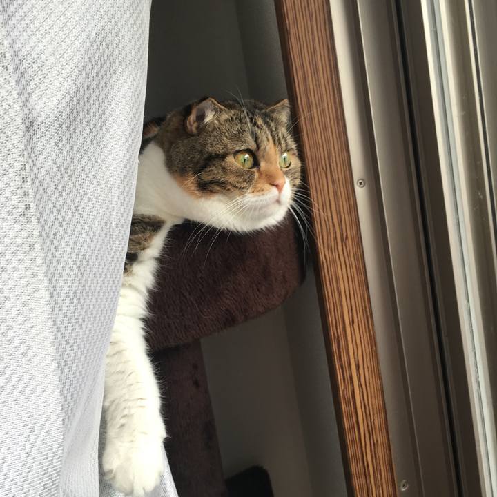 43f3c116 d1ff 4042 b490 62fe4448bde4