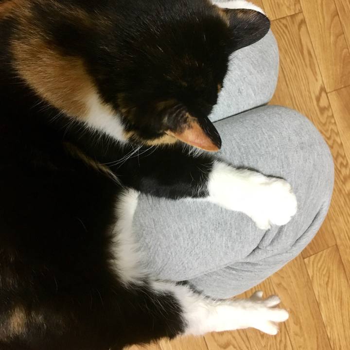 43f3c6b0 56da 445a b65e 02fa07ef567c