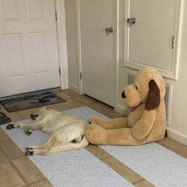 43f3cfac 74fc 4d8b aacc 08673a2048c6