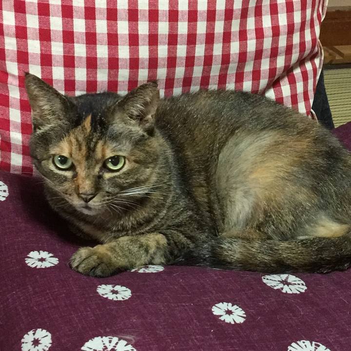 43f3edaf 98ec 4f1b 8afc 278c424733fe