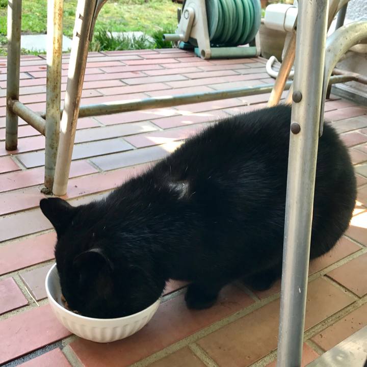 43f49e6e b53a 4ca3 bb8a 6b9e3e0d8f43