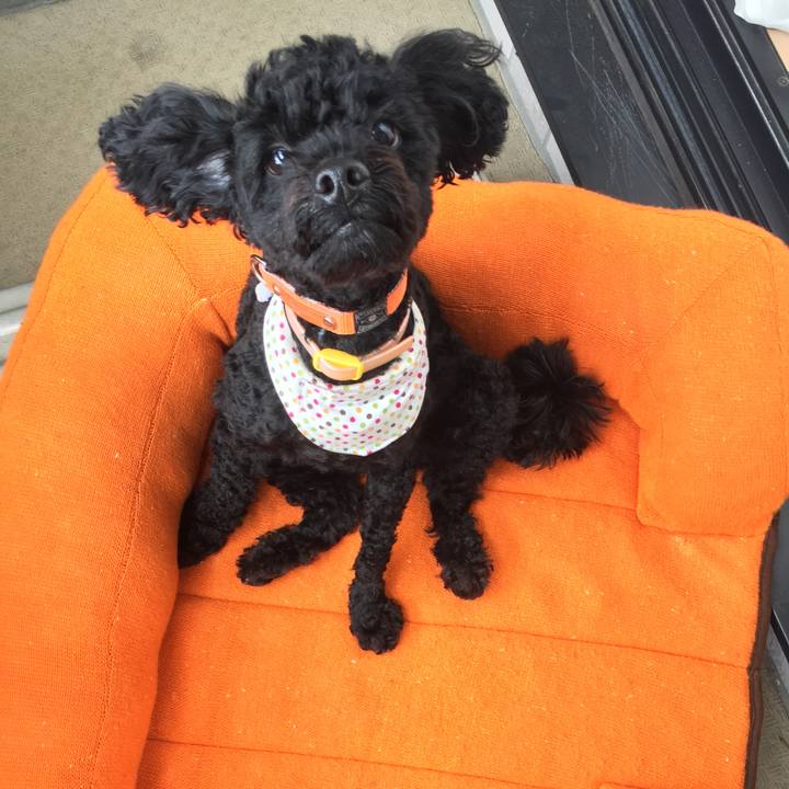 43f55e23 f0dc 45f3 809e e94c18c3485a