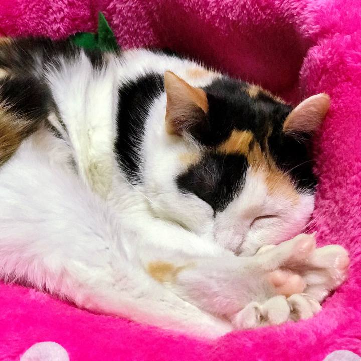 43f59ffd 4e48 4fae 80fe 3df984281b0b