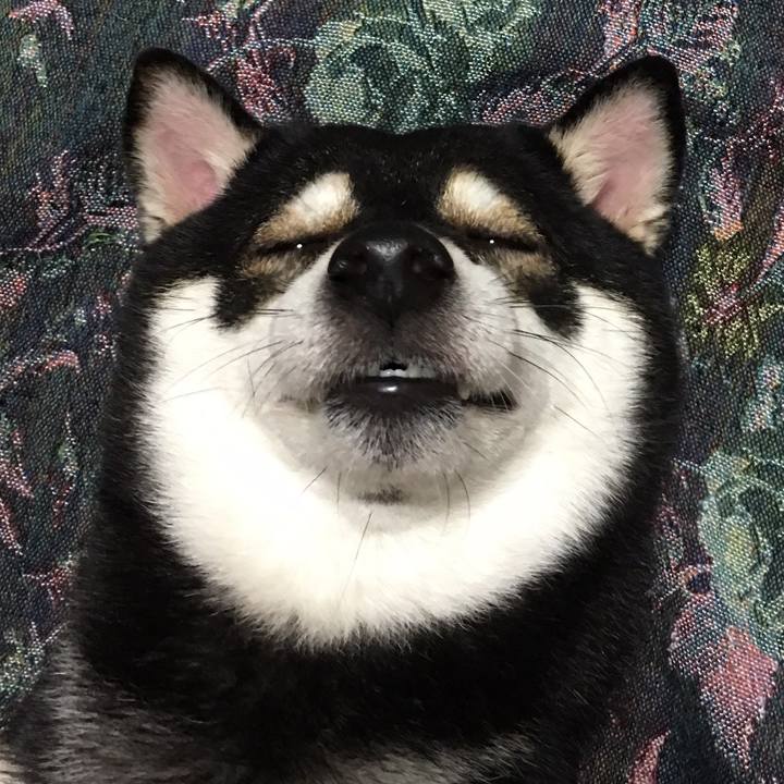 43f6085d 1ec7 431b aa05 0ffbc6011f11