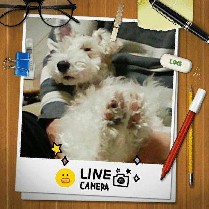 43f64820 6e60 4f8d 886d b67303cf62ec