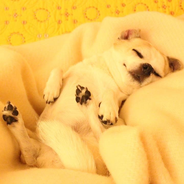 43f67bfc 02df 468c 8bdf 89c6eef91aa2