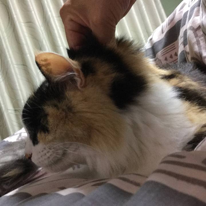 43f6e39e 88c3 4bb3 8a61 6618eab8847f